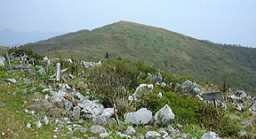 �ō��_�s�[�N