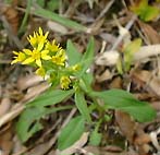 �A�L�m�L�����\�E