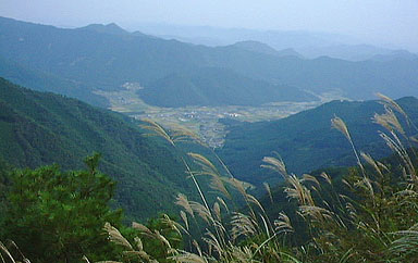 ���[�̉����� �s���̗��������낷