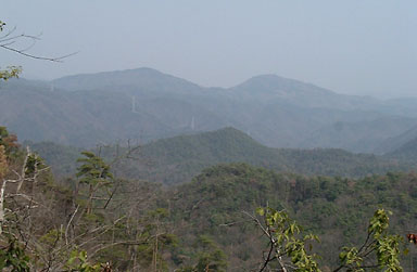 �킸���Ȓ���