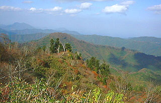 �ዷ�p���ʂ�]��