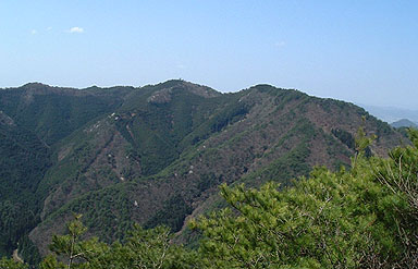 �W�]�₩��̒���