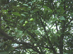 �q�������S