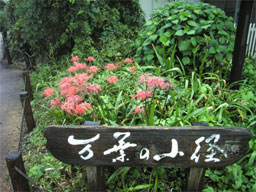 ���t�̏��a