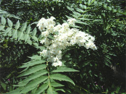 �j���i�i�J�}�h