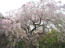 ���d�g�}��