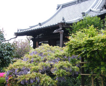 �J�s�^����