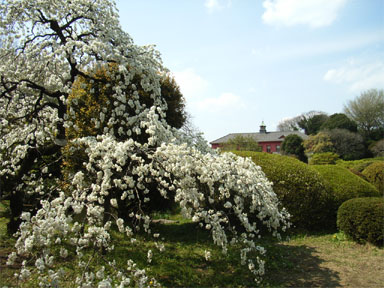 ������w�Z