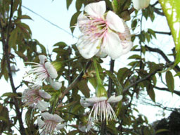 �q�}�����T�N��