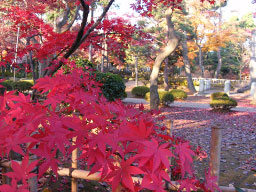 �������g�t