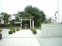 �����_��