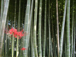 �|��(�����@)