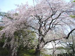 �}����T�N��