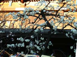 �����V�_