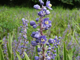 ���u����