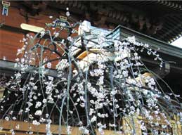 �����V�_