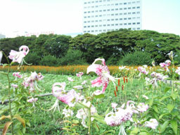 �J�m�R����