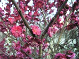 �������g