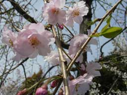 ���}����