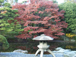 �c����̊ے뉀