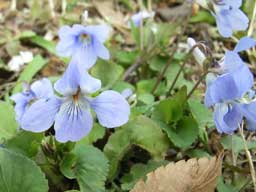 �^�`�c�{�X�~��