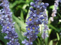 ���u����