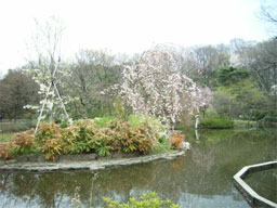 �L����{�L�O����