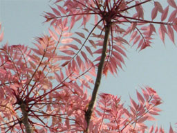 �`�����`��