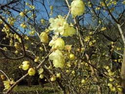 �\�V�����E�o�C