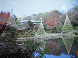 �V�]�ː����