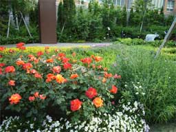 ���c�@��