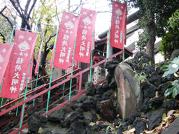 ���{����