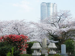 �Z�{�؃q���Y