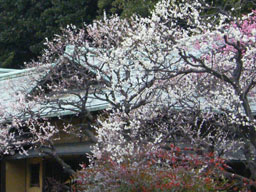 �z�K�̒���