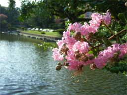 �T���X�x��