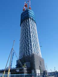 �V�����^���[