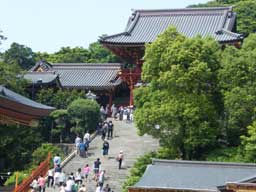 �߉������{