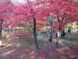 �_��A������