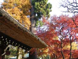 �[�厛�R��