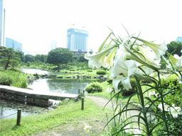 �^�J�T�S����