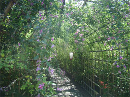 ���̃g���l��