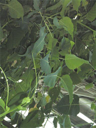 �C���h����