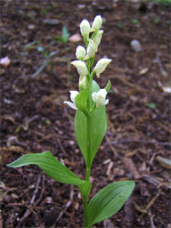 �M������