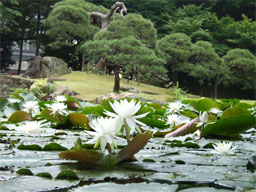 �������@