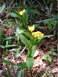 �L������