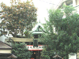 ���Ԑ_�Ё@���f�̖�