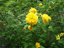 ���d�R��