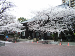 �P��������