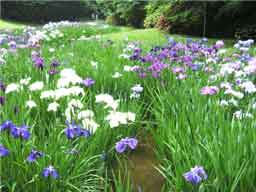 �n�i�~�Y�L