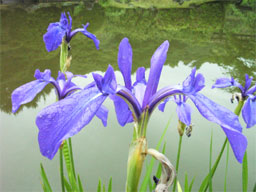 �J�L�c�o�^